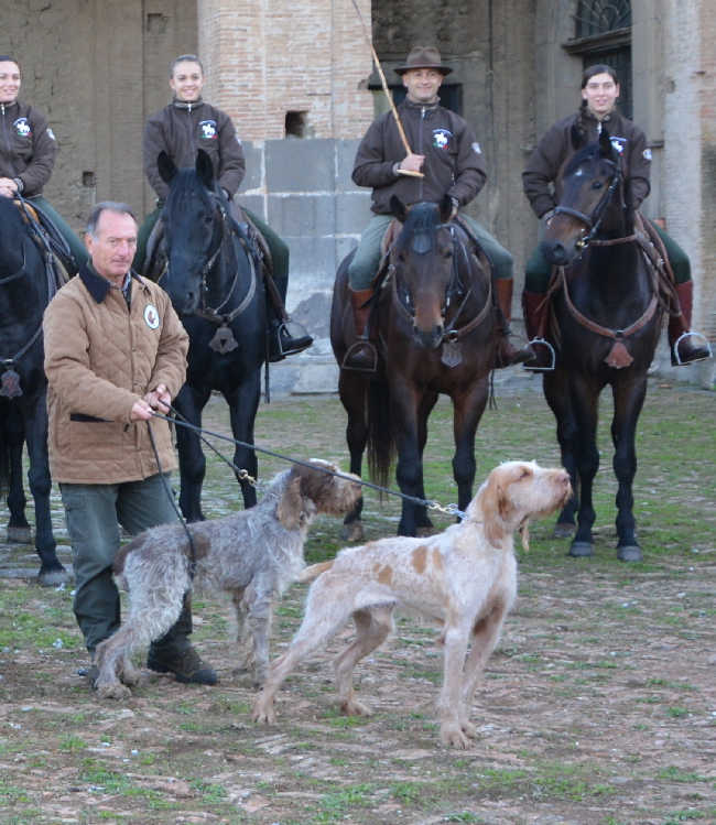 foto club italiano spinoni