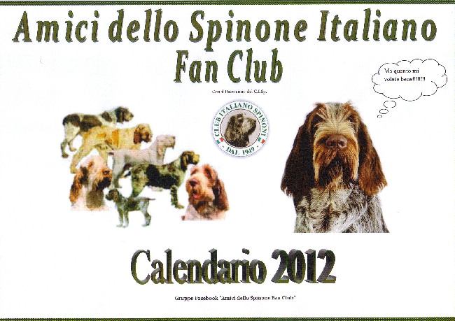 foto club italiano spinoni