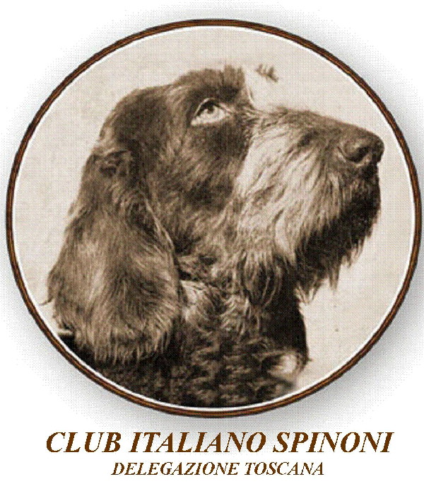 foto club italiano spinoni